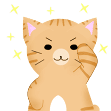 any cat have face of the back sticker #10559800