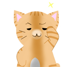 any cat have face of the back sticker #10559801