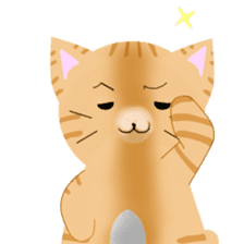 any cat have face of the back sticker #10559801