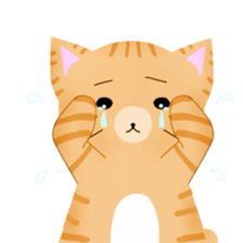 any cat have face of the back sticker #10559807