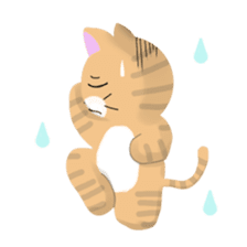 any cat have face of the back sticker #10559809