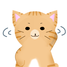 any cat have face of the back sticker #10559810