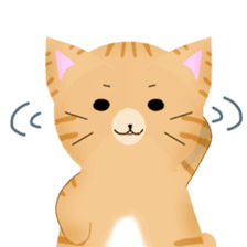 any cat have face of the back sticker #10559810