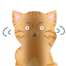 any cat have face of the back sticker #10559811