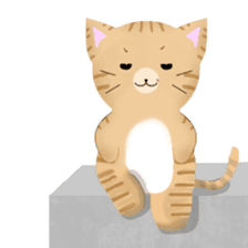 any cat have face of the back sticker #10559812