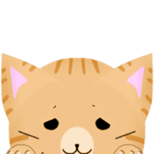 any cat have face of the back sticker #10559818