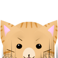 any cat have face of the back sticker #10559821