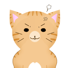 any cat have face of the back sticker #10559826