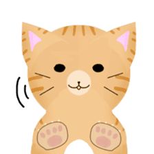 any cat have face of the back sticker #10559831