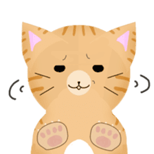 any cat have face of the back sticker #10559832