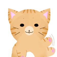 any cat have face of the back sticker #10559835