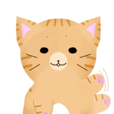 any cat have face of the back sticker #10559835