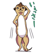 Sticker of meerkat of Marron sticker #10560721