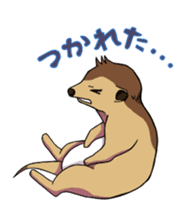 Sticker of meerkat of Marron sticker #10560722