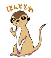 Sticker of meerkat of Marron sticker #10560725