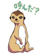 Sticker of meerkat of Marron sticker #10560726