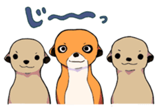 Sticker of meerkat of Marron sticker #10560732