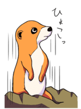Sticker of meerkat of Marron sticker #10560733