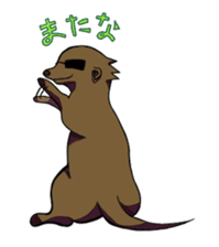 Sticker of meerkat of Marron sticker #10560749