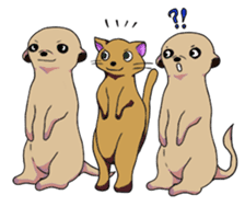 Sticker of meerkat of Marron sticker #10560758