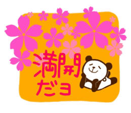 Cherry-blossom viewing of Costume panda sticker #10561806