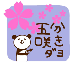 Cherry-blossom viewing of Costume panda sticker #10561807