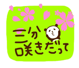 Cherry-blossom viewing of Costume panda sticker #10561808