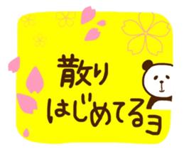 Cherry-blossom viewing of Costume panda sticker #10561809