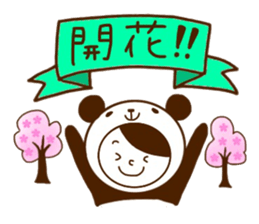 Cherry-blossom viewing of Costume panda sticker #10561810