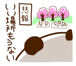 Cherry-blossom viewing of Costume panda sticker #10561830