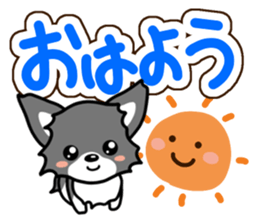 Black-and-white Chihuahua sticker #10563000
