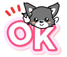 Black-and-white Chihuahua sticker #10563002