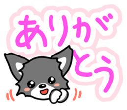 Black-and-white Chihuahua sticker #10563004
