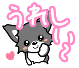 Black-and-white Chihuahua sticker #10563005