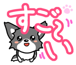 Black-and-white Chihuahua sticker #10563008