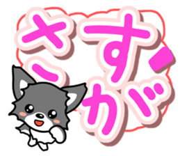 Black-and-white Chihuahua sticker #10563009