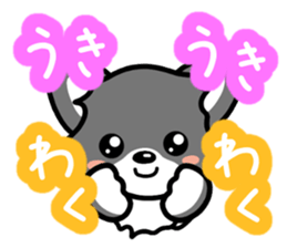 Black-and-white Chihuahua sticker #10563012