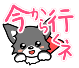 Black-and-white Chihuahua sticker #10563014