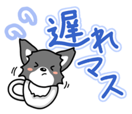Black-and-white Chihuahua sticker #10563015