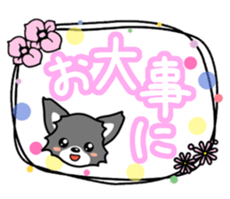 Black-and-white Chihuahua sticker #10563016