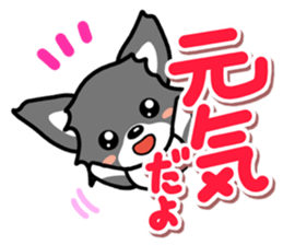 Black-and-white Chihuahua sticker #10563017