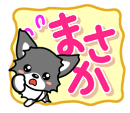 Black-and-white Chihuahua sticker #10563023