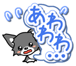 Black-and-white Chihuahua sticker #10563024
