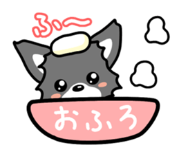 Black-and-white Chihuahua sticker #10563027