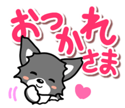 Black-and-white Chihuahua sticker #10563029