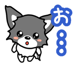 Black-and-white Chihuahua sticker #10563031