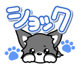 Black-and-white Chihuahua sticker #10563033
