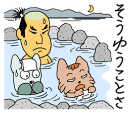 Traveling for dog and cat sticker #10563067