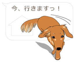 Hukidashi Dachshunds sticker #10563522