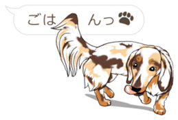 Hukidashi Dachshunds sticker #10563524